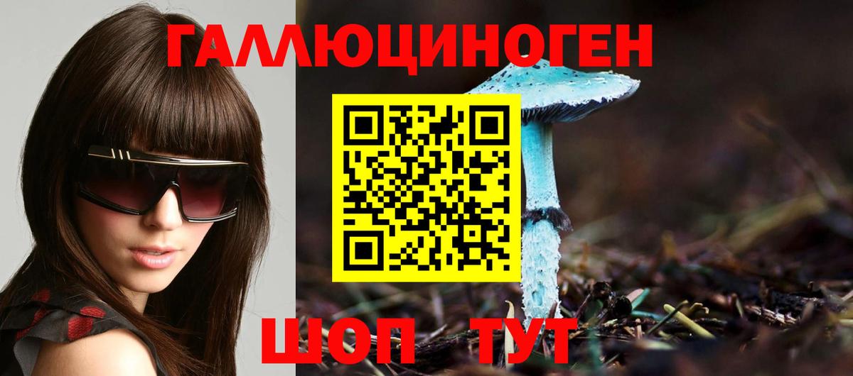 Шали  Галлюциногенные грибы прущие грибы  Вход с VPN 